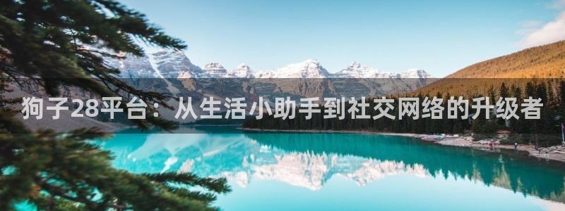 狗子28平台：从生活小助手到社交网络的升级者