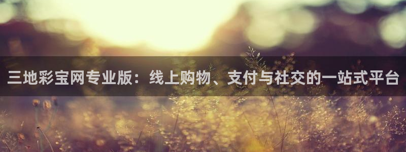 三地彩宝网专业版：线上购物、支付与社交的一站式平台