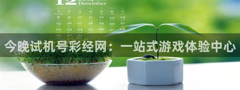 500网安卓版下载