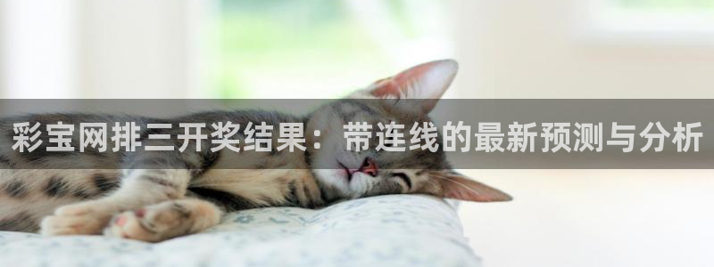 500网app下载：彩宝网排三开奖结果：带连线的最新预测与分析