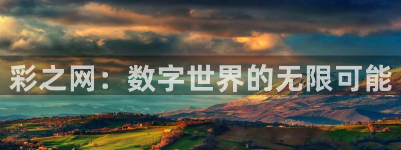 500网app是什么软件：彩之网：数字世界的无限可能