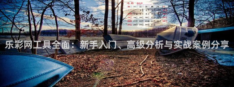 今天足球比赛结果500网：乐彩网工具全面：新手入门、高级分析与实战案例分享