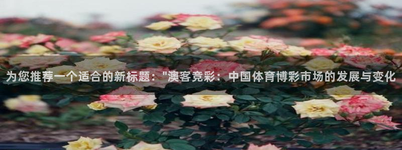 500网app是什么软件：为您推荐一个适合的新标题：\